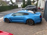 Ford Mustang 2.3 EcoBoost Auto - - Ford Mustang Gebrauchtwagen in Köln