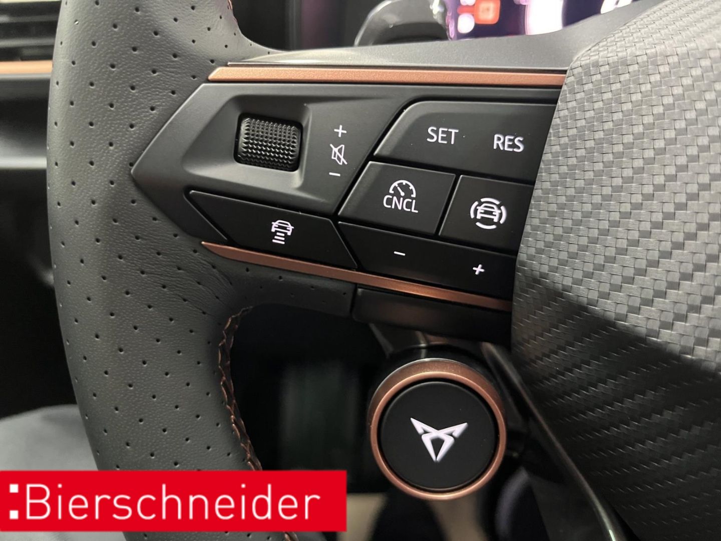 Cupra Formentor - Bild 36