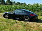 Porsche Cayman S mit super Ausstattung  - gebrauchte Porsche Cayman aus dem Jahr 2014