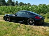 Porsche Cayman S mit super Ausstattung  - Porsche: Super