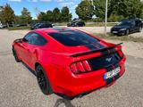 Ford Mustang 2.3 EcoBoost  - Ford Mustang: Ecoboost
