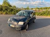Fiat Panda Kleinwagen - Fiat Panda in Köln