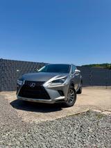 Lexus NX 300 300h E-FOUR - - Lexus: 300h