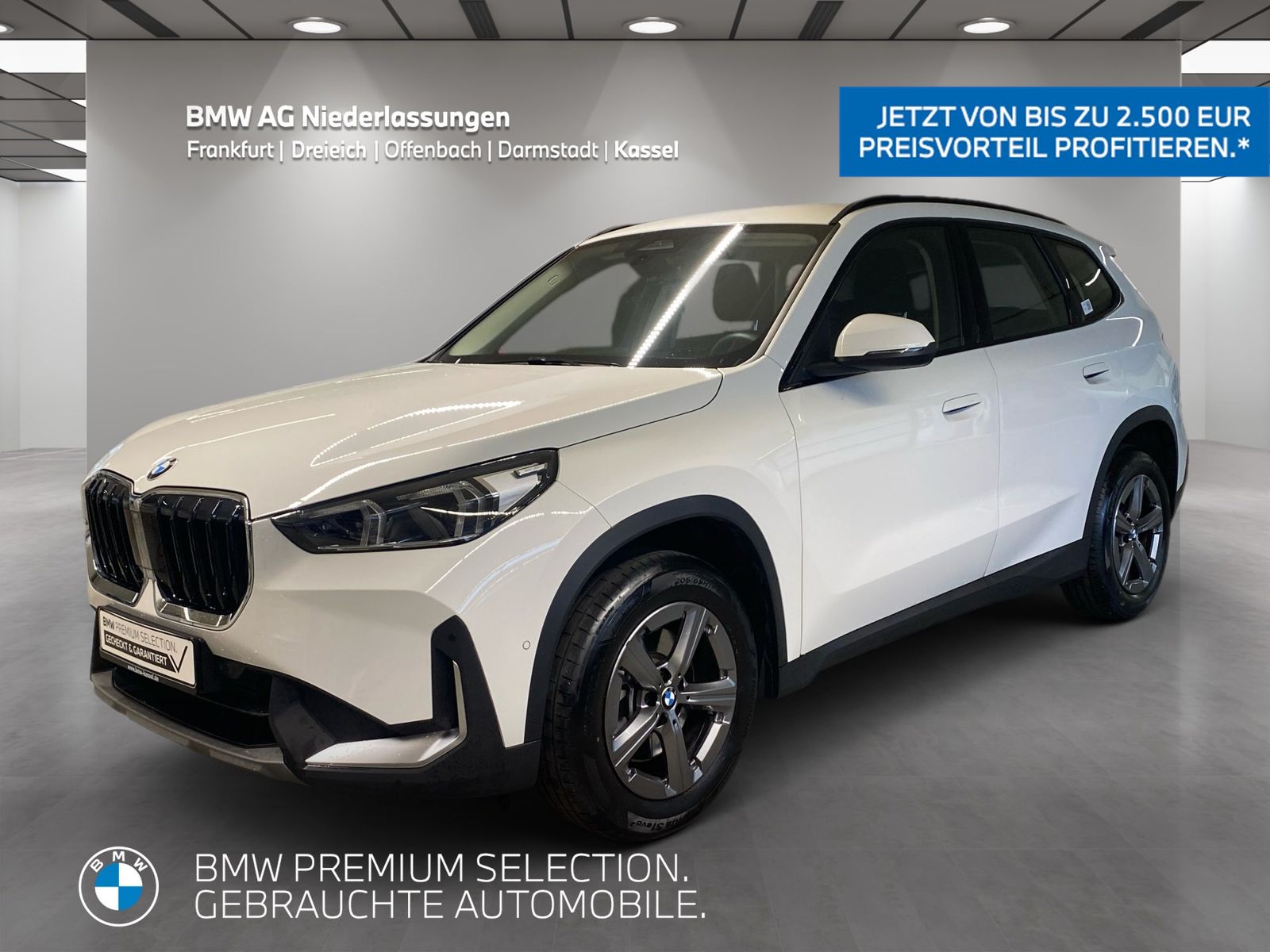 BMW X1 sDrive20i AHK Kamera LED Sitzheizung Alarm