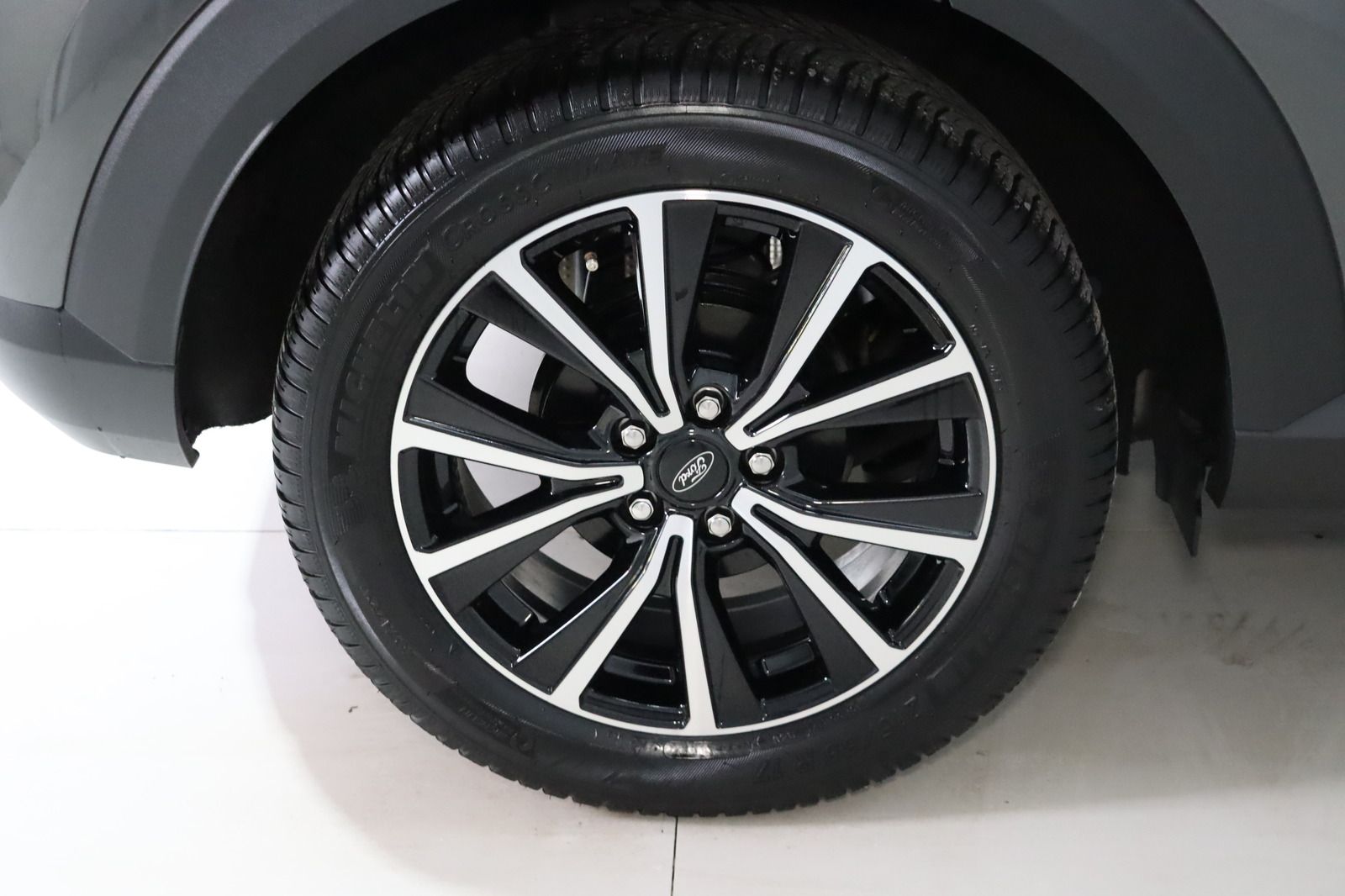 Fahrzeugabbildung Ford Puma 1.0 Eco Boost DCT Titanium