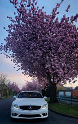 Mercedes-Benz Mercedes Benz CL-500 4-MATIC - Mercedes-Benz CL 500: 4matic