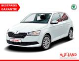 Skoda Fabia 1.0 TSI Cool Edition Klima DAB Sitzheizung