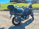 Suzuki V-Strom 650:  Nur 4.900 km, HU Neu - Suzuki Motorräder in Stuttgart