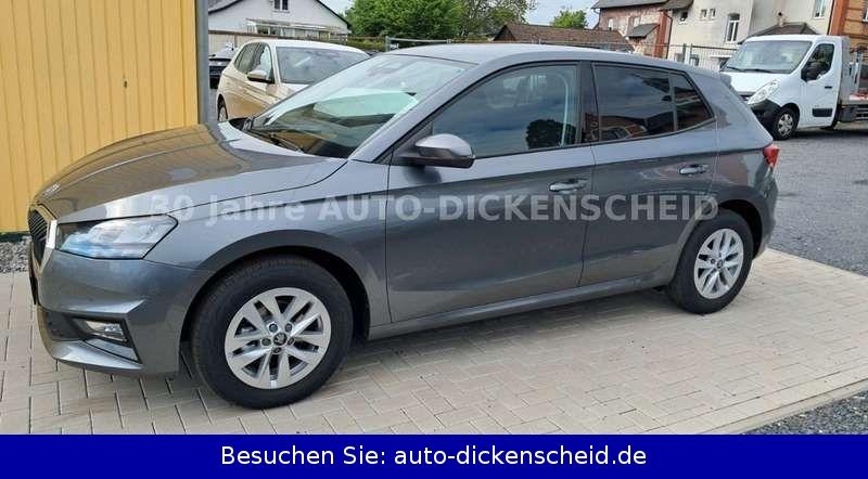 Skoda Fabia Selection PLUS-KLIMAAUTOM-SHZ-PDC v+h Kame