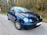 Volkswagen Polo 1.2 Cricket  - Volkswagen Polo Cricket mit Benzin-Antrieb