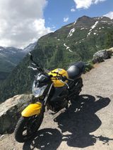 Yamaha  XJ 6 RJ 19 - YAMAHA GELB