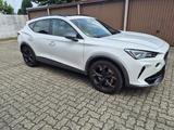 Cupra VZ 4Drive DSG PANO*AHK*BEATS*BREMBO - Cupra Formentor Gebrauchtwagen in Stuttgart