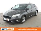 Ford Focus 1.0 EcoBoost Business*NAVI*TEMPO*PDC*SHZ* - Ford Focus: Business