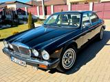 Jaguar XJ Daimler Double Six - Jaguar XJ12 von privat