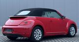 Volkswagen Beetle Cabriolet Design BMT*Leder*Navi*PDC*Alu* - Volkswagen Beetle in Essen