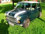 MINI Rover Mini 1300 MPI Saisonfahrzeug wenig k... - gebrauchte MINI MINI aus dem Jahr 1996
