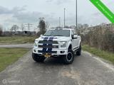 Ford F 150 USA F150 Shelby - Ford: Usa