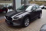 Mazda CX-30 2.0 150PS Selection Kamera Navi DAB uvm. - gebrauchte Mazda CX-30 aus dem Jahr 2022