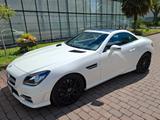 Mercedes-Benz SLK 250 d Automatik - AMG line - Mercedes-Benz SLK 250: AMG