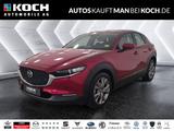 Mazda CX-30 L SKYACTIV-G 2.0 150PS MHybrid 6AG AL-SELE - Mazda CX-30 Gebrauchtwagen in Berlin