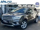 Ford Kuga 1.5 EcoBoost 4x4 Automatik Titanium - Ford Kuga Gebrauchtwagen in Bonn