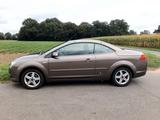 Ford Focus CC  -2.0L   -144 PS  -109 tKM  -Klima-  - Ford Focus aus 2008: Cabrio