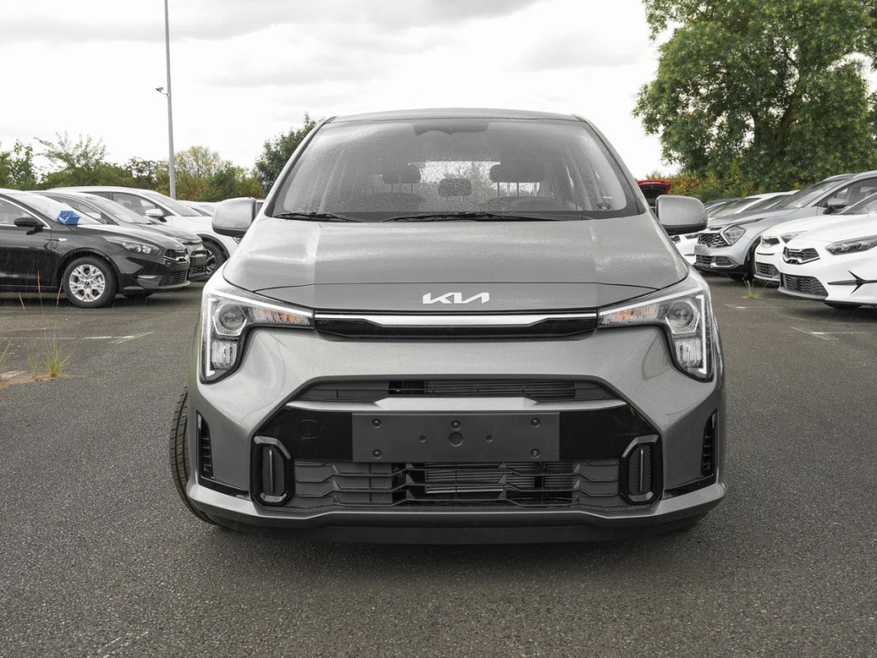 Kia Picanto 1.2 Vision Navi Kamera SpurH Lenkradhzg