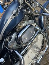 Harley-Davidson Harley Davidson XL883, 100th anniversary, 8410km - HARLEY-DAVIDSON 2003 100TH ANNIVERSARY