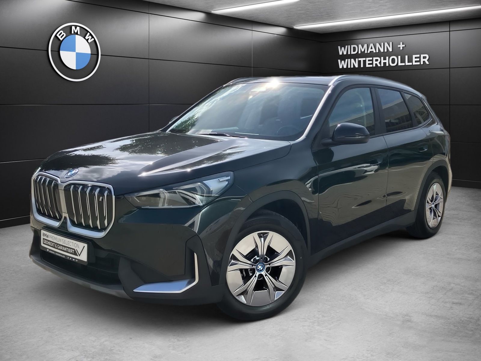 BMW iX1 xDrive30 Navi ad.LED DA RFK PA Sportsitze foto 1