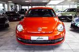 Volkswagen The Beetle 2.0 TDI DPF DSG Blue Motion Technolog - Volkswagen Beetle: TDI