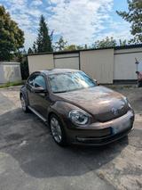 Volkswagen VW Beetle (Käfer) - Volkswagen: Sportwagen, Kaefer
