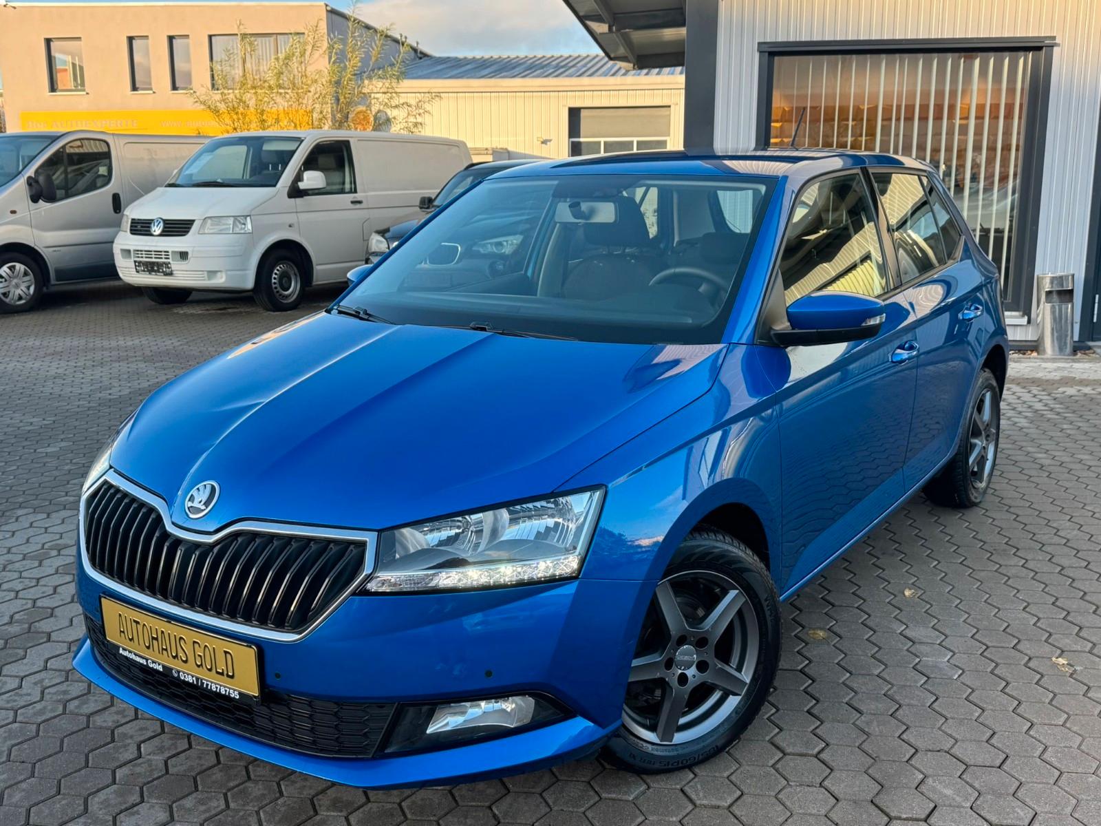 Skoda Fabia Active /Klima /Alu/ TÜV NEU