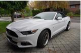 Ford Mustang 2.3 EcoBoost Cabrio - Ford Mustang mit Benzin-Antrieb: Cabrio, Automatik