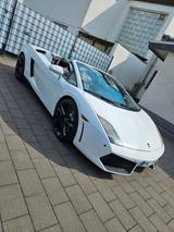Lamborghini Gallardo LP550-2 Spyder - - Lamborghini: Lp