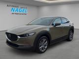 Mazda CX-30 2.5L e-SKYACTIV-G 140PS *Takumi*  LEDER - Mazda mit Benzin-Antrieb: Geländewagen, Automatik