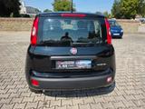 Fiat Panda | 5 Sitzer | Radio | PDC | Tempomat - Fiat Panda: Sitzer