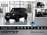 Mercedes-Benz G 450 d EXCLUSIVE Night AHK Standhzg Leder SSD - Mercedes-Benz G 450 Gebrauchtwagen