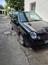 Volkswagen VW Lupo 1.0 50 PS - Volkswagen Lupo in München
