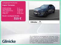 Cupra Terramar - Vorschau Bild 1