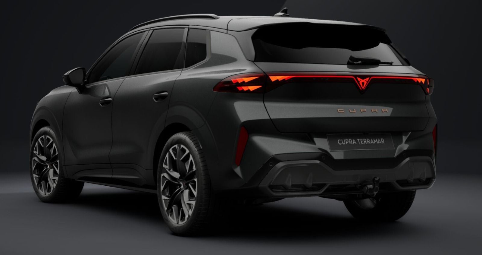 Cupra Terramar - Bild 2