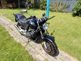 Honda CBF 600 NA PC 38 - HONDA CBF 600 PC38