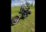 Yamaha Virago XV 750  TÜV neu - YAMAHA 750
