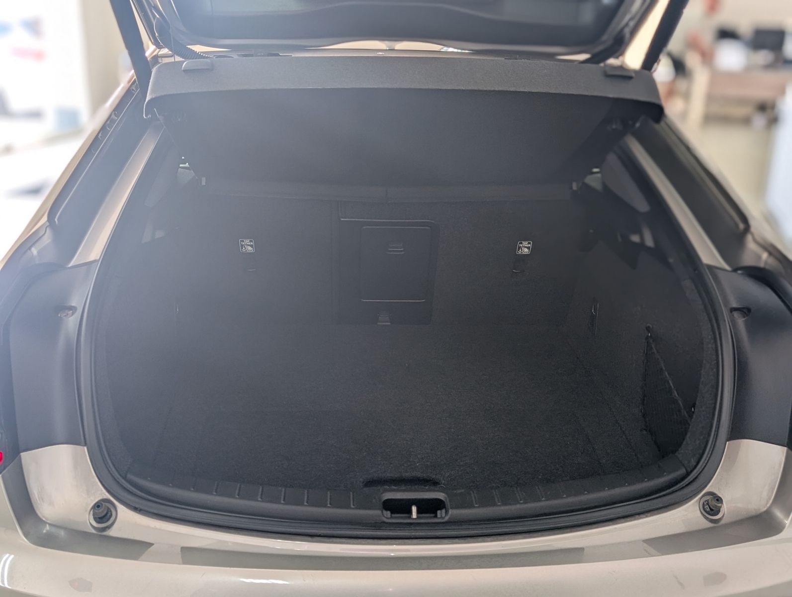 Fahrzeugabbildung Polestar 2 Range PILOT LITE PANO ACC LED H&K 360°