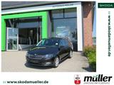 Skoda Fabia Combi Joy 1.2TSI 66kW SHZ PDC DAB - Skoda Fabia: 1.6