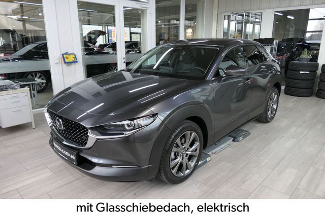 Mazda CX-30 >2025< / e-SKYACTIV X 186 Takumi Voll SUN