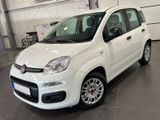 Fiat Panda 1.0 Urban **5-Türig*Klima*PDC** - Fiat Panda: 1.0