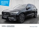 Volvo XC60 B5 AWD Plus Dark - Volvo XC60 Jahreswagen