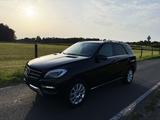 Mercedes-Benz ML 350 BlueTEC 4MATIC - - Mercedes-Benz ML 350 in Wuppertal