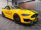 Ford Mustang Super Snake look, 5.0 - Ford Mustang Gebrauchtwagen in Bochum