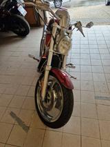 Harley-Davidson VRSCA V-ROD - HARLEY-DAVIDSON V ROD VRSCA